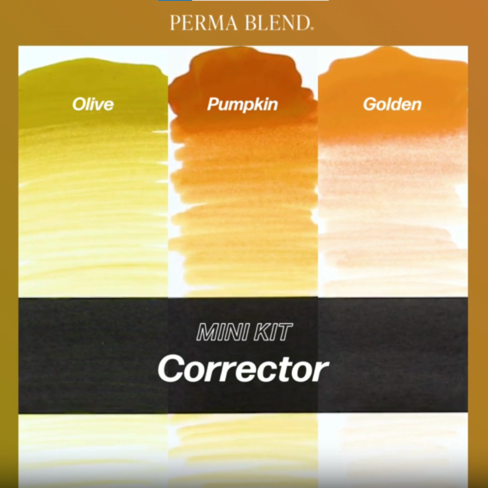 PIGMENTOS PERMABLEND SET CORRECTORES - Image 3